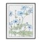Stupell Industries Detailed Anemone Outline Framed Giclee By CAD Designs